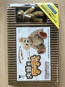 【中古】大好きテディ 初回限定セット