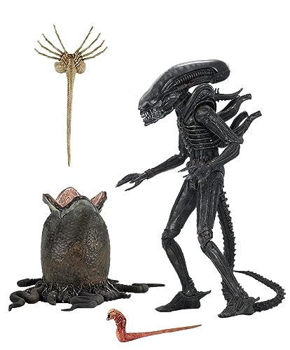 楽天市場】コトブキヤ artfx ビッグチャップの通販 楽天市場】コトブキヤ artfx ビッグチャップの通販