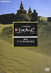 【中古】NHKスペシャル 新シルクロード 特別版 第8集 カラホト 砂に消えた西夏 [DVD]