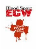 【中古】WWE ECW ブラッド・スポーツ [DVD]
