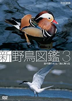 【中古】新 野鳥図鑑 第3集 池や湖の水鳥/海に舞う鳥 [DVD]【メーカー名】NHKエンタープライズ【メーカー型番】【ブランド名】【商品説明】 こちらの商品は中古品となっております。 画像はイメージ写真ですので 商品のコンディション・付属...