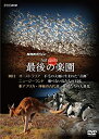 【中古】「非常に良い」NHKスペシャル ホットスポット 最後の楽園 DVD-DISC 2(2)