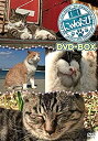 yÁzɂ񂽂 DVD-BOX