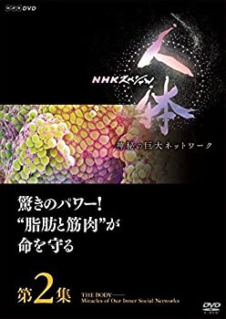 【中古】「非常に良い」NHKスペシャル 人体 神秘の巨大ネットワーク 第2集 驚きのパワー! 脂肪と筋肉が命を守る [DVD]【メーカー名】NHKエンタープライズ【メーカー型番】【ブランド名】【商品説明】初期不良に関しましては商品到着から1週間は返品を承っております。他モールとの併売品の為完売の際はご連絡致しますのでご了承ください。プリンター・印刷機器のご注意点インクは配送中の漏れ防止のため付属しておりませんのでご了承下さい。ドライバー等・マニュアルはメーカーサイトより最新版のダウンロードをお願い致します。DVD・Blu-ray・ゲームソフトのご注意点特典・付属品・パッケージ・プロダクトコード・ダウンロードコード等の使用有無や付属状況については保証いたしかねますので予めご了承ください。商品名に「輸入版 / 海外版 / IMPORT 」と記載されている海外版ゲームソフト・DVD・Blu-rayは日本版のプレイヤーでは動作いたしません。商品名に「レンタル落ち 」と記載されている商品につきましてはディスクやジャケットに管理シール（値札・セキュリティータグ・バーコード等）が貼付されていますので予めご了承ください。トレーディングカードのご注意点当店での「非常に良い」表記のトレーディングカードはプレイ用でございます。中古買取り品の為、細かなキズ・白欠け・多少の使用感がございますのでご了承下さいませ。ご注文からお届けまで1、ご注文⇒ご注文は24時間受け付けております。2、注文確認⇒ご注文後、当店から注文確認メールを送信します。3、お届けまで3-10営業日程度とお考え下さい。　※海外在庫品の場合は3週間程度かかる場合がございます。4、入金確認⇒前払い決済をご選択の場合、ご入金確認後、配送手配を致します。5、出荷⇒配送準備が整い次第、出荷致します。発送後に出荷完了メールにてご連絡致します。お客様都合によるご注文後のキャンセル・返品はお受けしておりませんのでご了承下さい。電話対応はしておりませんのでご質問等はメッセージまたはメールにてお願い致します。