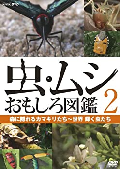 【中古】「非常に良い」虫・ムシ おもしろ図鑑 2 森に隠れるカマキリたち~世界 輝く虫たち [DVD]