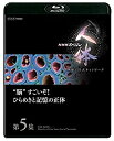 【中古】NHKスペシャル 人体 神秘の巨大ネットワーク 第5集 脳すごいぞ! ひらめきと記憶の正体 [Blu-ray]【メーカー名】NHKエンタープライズ【メーカー型番】【ブランド名】NHKエンタープライズ【商品説明】 こちらの商品は中古品となっております。 画像はイメージ写真ですので 商品のコンディション・付属品の有無については入荷の度異なります。 買取時より付属していたものはお付けしておりますが付属品や消耗品に保証はございません。 商品ページ画像以外の付属品はございませんのでご了承下さいませ。 中古品のため使用に影響ない程度の使用感・経年劣化（傷、汚れなど）がある場合がございます。 また、中古品の特性上ギフトには適しておりません。 製品に関する詳細や設定方法は メーカーへ直接お問い合わせいただきますようお願い致します。 当店では初期不良に限り 商品到着から7日間は返品を受付けております。 他モールとの併売品の為 完売の際はご連絡致しますのでご了承ください。 プリンター・印刷機器のご注意点 インクは配送中のインク漏れ防止の為、付属しておりませんのでご了承下さい。 ドライバー等ソフトウェア・マニュアルはメーカーサイトより最新版のダウンロードをお願い致します。 ゲームソフトのご注意点 特典・付属品・パッケージ・プロダクトコード・ダウンロードコード等は 付属していない場合がございますので事前にお問合せ下さい。 商品名に「輸入版 / 海外版 / IMPORT 」と記載されている海外版ゲームソフトの一部は日本版のゲーム機では動作しません。 お持ちのゲーム機のバージョンをあらかじめご参照のうえ動作の有無をご確認ください。 輸入版ゲームについてはメーカーサポートの対象外です。 DVD・Blu-rayのご注意点 特典・付属品・パッケージ・プロダクトコード・ダウンロードコード等は 付属していない場合がございますので事前にお問合せ下さい。 商品名に「輸入版 / 海外版 / IMPORT 」と記載されている海外版DVD・Blu-rayにつきましては 映像方式の違いの為、一般的な国内向けプレイヤーにて再生できません。 ご覧になる際はディスクの「リージョンコード」と「映像方式※DVDのみ」に再生機器側が対応している必要があります。 パソコンでは映像方式は関係ないため、リージョンコードさえ合致していれば映像方式を気にすることなく視聴可能です。 商品名に「レンタル落ち 」と記載されている商品につきましてはディスクやジャケットに管理シール（値札・セキュリティータグ・バーコード等含みます）が貼付されています。 ディスクの再生に支障の無い程度の傷やジャケットに傷み（色褪せ・破れ・汚れ・濡れ痕等）が見られる場合がありますので予めご了承ください。 2巻セット以上のレンタル落ちDVD・Blu-rayにつきましては、複数枚収納可能なトールケースに同梱してお届け致します。 トレーディングカードのご注意点 当店での「良い」表記のトレーディングカードはプレイ用でございます。 中古買取り品の為、細かなキズ・白欠け・多少の使用感がございますのでご了承下さいませ。 再録などで型番が違う場合がございます。 違った場合でも事前連絡等は致しておりませんので、型番を気にされる方はご遠慮ください。 ご注文からお届けまで 1、ご注文⇒ご注文は24時間受け付けております。 2、注文確認⇒ご注文後、当店から注文確認メールを送信します。 3、お届けまで3-10営業日程度とお考え下さい。 　※海外在庫品の場合は3週間程度かかる場合がございます。 4、入金確認⇒前払い決済をご選択の場合、ご入金確認後、配送手配を致します。 5、出荷⇒配送準備が整い次第、出荷致します。発送後に出荷完了メールにてご連絡致します。 　※離島、北海道、九州、沖縄は遅れる場合がございます。予めご了承下さい。 当店ではすり替え防止のため、シリアルナンバーを控えております。 万が一、違法行為が発覚した場合は然るべき対応を行わせていただきます。 お客様都合によるご注文後のキャンセル・返品はお受けしておりませんのでご了承下さい。 電話対応は行っておりませんので、ご質問等はメッセージまたはメールにてお願い致します。