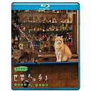 【中古】「非常に良い」岩合光昭の世界ネコ歩き ソレントとカプリ島 ブルーレイ(NHKスクエア限定商品)