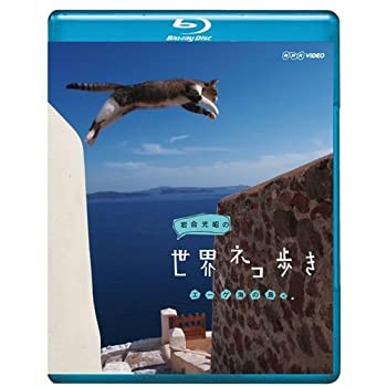 š۴ͥ⤭ 硹֥롼쥤NHK꾦ʡ