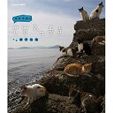 【中古】「未使用品」岩合光昭の世界ネコ歩き 瀬戸内海 ブルーレイ(NHKスクエア限定商品)