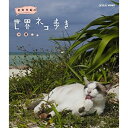 【中古】岩合光昭の世界ネコ歩き 沖縄 ブルーレイ(NHKスクエア限定商品)