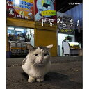 【中古】「未使用品」岩合光昭の世界ネコ歩き チリ ブルーレイ(NHKスクエア限定商品)(2)