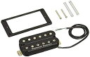 【中古】(非常に良い)SeymourDuncan PU セイモアダンカン ピックアップ TB-4 JB BK Trembucker (国内)(2)