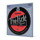 【中古】(非常に良い)D'Addario ダダリオ クラシックギター弦 プロアルテ Dynacore Normal EJ45TT (国内)