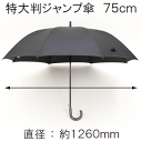 ［特大判傘］75cm サイズ 軽量 無地 ジャンプ式 紳士長傘［グラスファイバー］【送料無料 一部地域を除く】