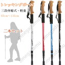 トレッキングポール 2本セット 登山杖 三階段式 ステッキ ストック 軽量アルミ製 登山用杖 登山 軽量 キャップ付き ウォーキングポール 山登り 送料無料