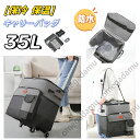 35L 保冷バッグ 保温 防水 折りたたみ トートバッグ ショッピングカート 漏れ防止 キャリーバッグ トートバッグ エコバッグ ソフトクーラーボックス レジャー アウトドア ランチバッグ 大容量 ショッピングバッグ 旅行バッグ 軽量 多機能 通勤 買い物カート アウトドア