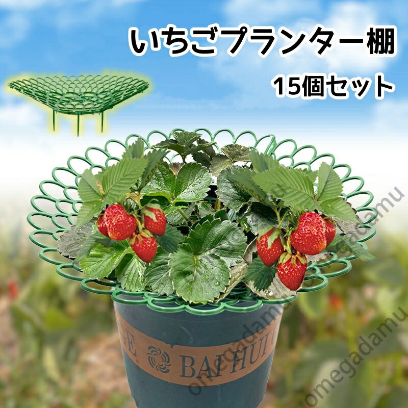 イチゴ棚 いちごプランター棚 15個セット 植物支え プラスチック製 簡単に組立 苺苗棚 栽培棚 支え棚 ..