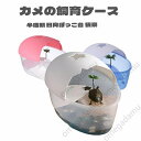 亀の水槽 カメ用水槽 大きい カメの水槽 爬虫類 水槽 飼育ケース タートルタンク カメ 生息地 日向ぼっこ台 エサ皿 日よけ 排水孔あり 3カラー ザリガニ 観察 「サイズ大」 送料無料