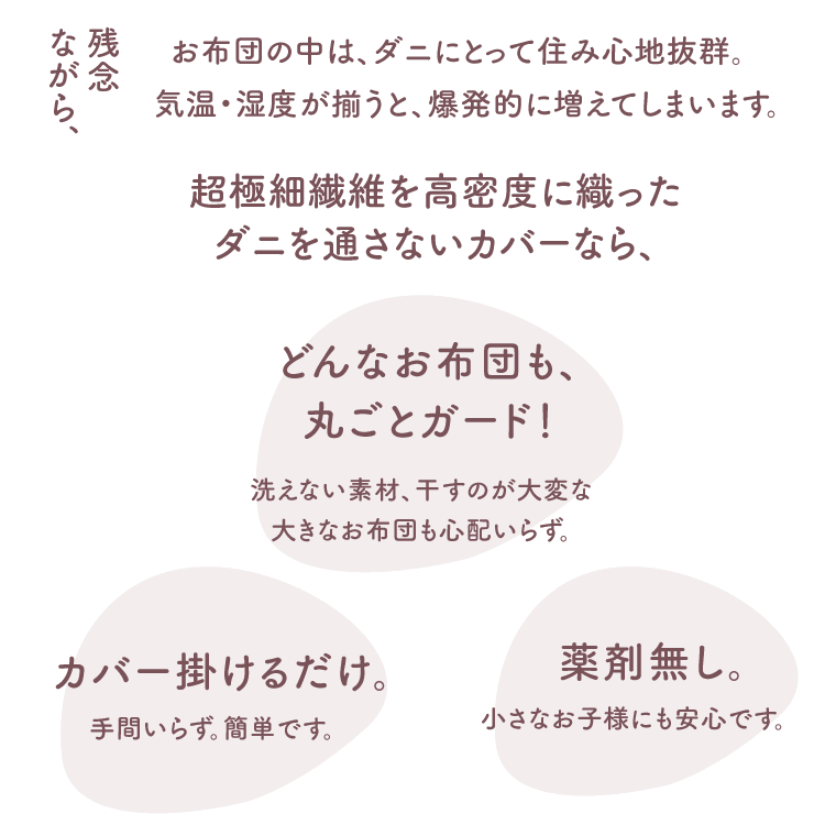 ��̩�� �ɥ��� ���С� DANI-ZERO �ԥ��������� 35��50cm �����к� ��