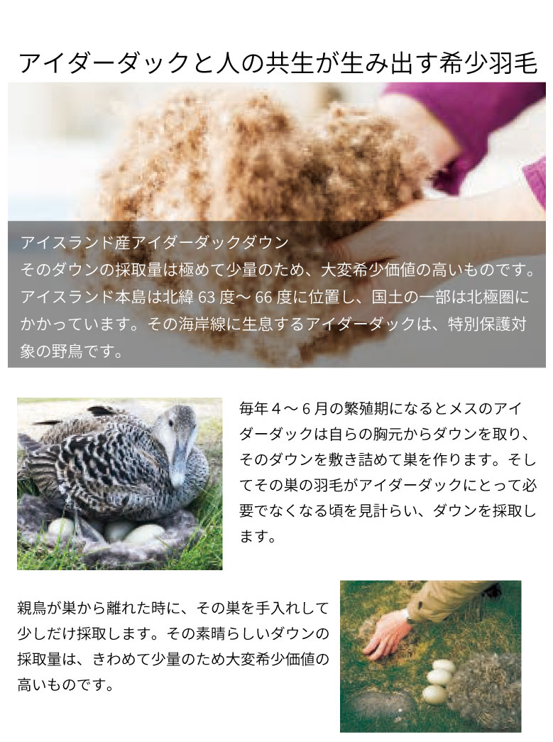 西川プレミアム羽毛ふとん アイスランド産アイダ...の紹介画像2
