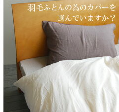 https://thumbnail.image.rakuten.co.jp/@0_mall/omezame/cabinet/golden/038.jpg