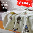 アウトレット 訳あり B品 ストレッチ タオルケット ロマンス小杉 VA シングル 無撚糸 アリス 国産 返品交換不可