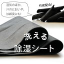 洗える除湿シート(竹炭粉入り)湿気をグングン吸収 消臭+脱臭 デフュミディカルと竹炭のダブル効果 ダブル 130×180cm グレー 除湿マット 結露防止 湿気...