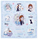 スケーター(Skater) ハンカチ 30×30cm ディズニー アナと雪の女王 2 HKC30-A