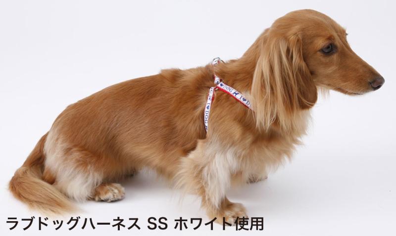 シオカゼ商店のペティオ (Petio) リトルエンジェル ラブドッグハーネス ブルー 超小型犬用 SS サイズ｜アングル3