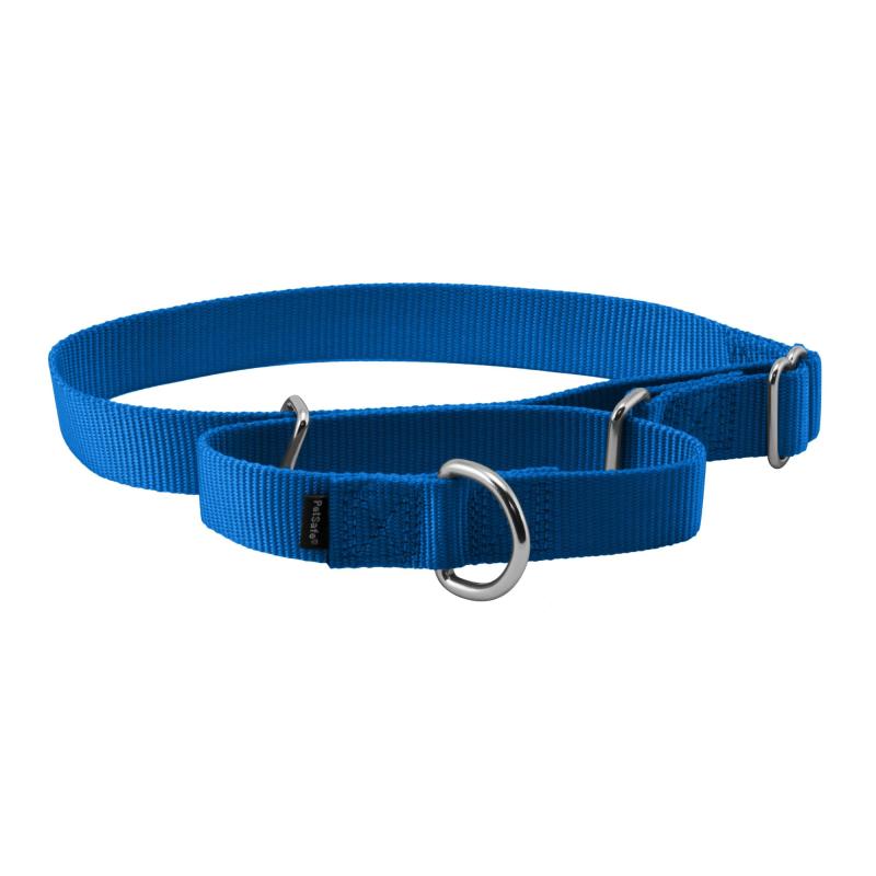PetSafe（ペットセーフ）犬用首輪 プレミアカラー ロイヤルブルー Lサイズ（幅2.5cm）