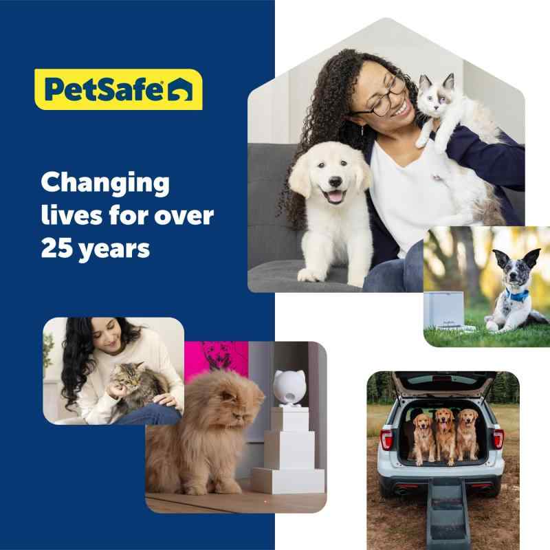 シオカゼ商店のPetSafe（ペットセーフ）犬用首輪 プレミアカラー ロイヤルブルー Lサイズ（幅2.5cm）｜アングル3