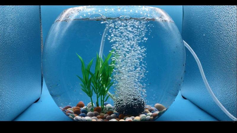 シオカゼ商店のJUTOSU 40mm丸形エアストーン ミネラルをリリース ポンプ ミネラルをリリース水族館 魚タンク水耕栽培用グレー エアーストーン セット 丸形エアストーン水槽酸素石 空気石 酸素を出す石 エア｜アングル2