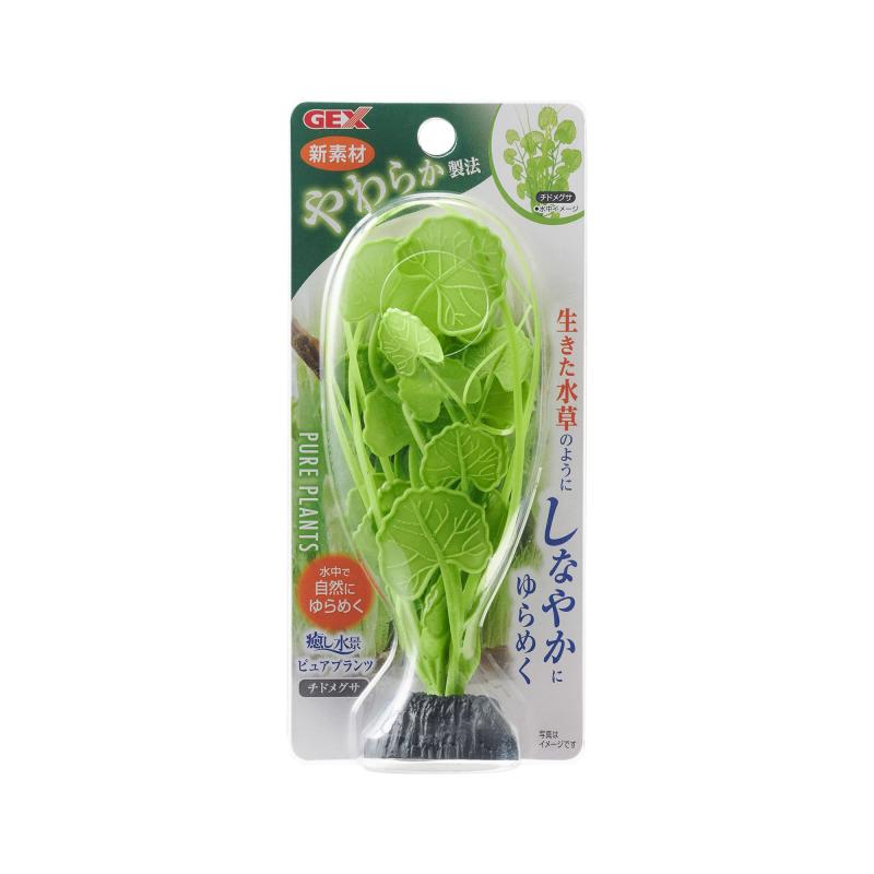 ジェックス 癒し水景 ピュアプランツ チドメグサ×3個セット