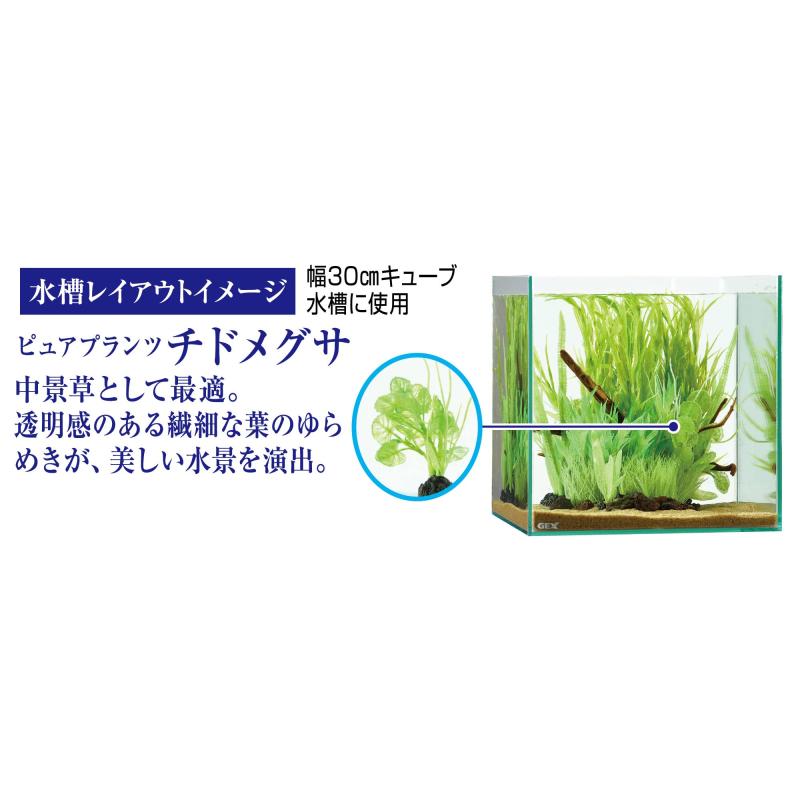 ジェックス 癒し水景 ピュアプランツ チドメグサ×3個セット