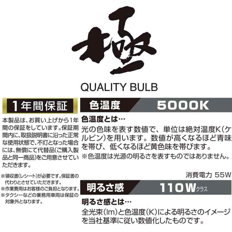 シオカゼ商店のカーメイト 車用 ハロゲン ヘッドライト GIGA ザ・ブループラス H11 5000K BD1129N｜アングル3
