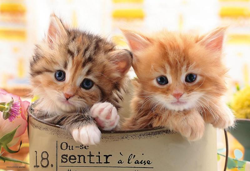 【日本製】ビバリー 300ピース ジグソーパズル しあわせにゃんこ（26×38cm）300-065