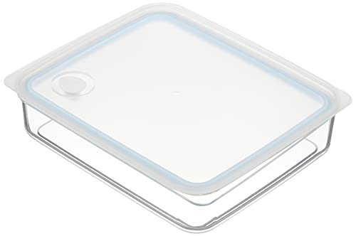 パール金属 Easy Clean 浅型 密閉 保存容器 L ブルー 【日本製】 HB-2629