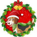 超人気♪【楽天2位】犬 おもちゃ 安全 クリスマス 噛み 力 強い 歯磨き プレゼント 犬 ロープ おもちゃ 犬おもちゃ 犬用玩具 5点セット コットン 犬 送料無料 犬用おもちゃ ロープトイオモチャ ストレス解消 遊び 丈夫 耐久性 小型犬 中型犬