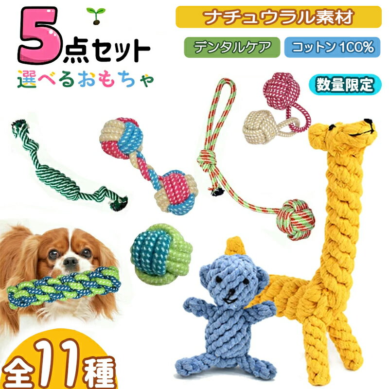 【楽天2位！】★選べる5点セット★犬 おもちゃ ロープトイ噛