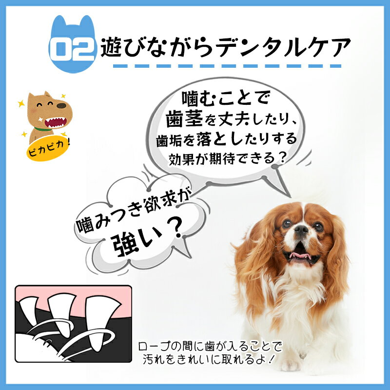 ★選べる5点セット★犬おもちゃ安全噛む力強いロープ犬おもちゃ犬用玩具コットンペット犬送料無料犬用おもちゃロープトイオモチャストレス解消丈夫耐久性小型犬歯磨き