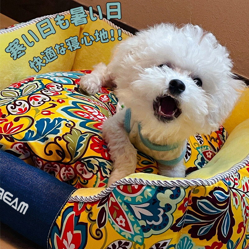 �ڡ��� ?? �͵����ʡ�����̵���֥ۡ����ȥ�åȡץڥåȥ٥å� ������ �� ���� �٥å� ���С��򳰤��������� �ɥå��٥å� �ѥԡ� ���� ���˥� Ϸ�� �淿�� ¿Ƭ ���ɥ顼 �� ���ฤ�� ��100�� ������ ������ ���� ������ Ω���夬�� �ΰ�ʬ�� ���