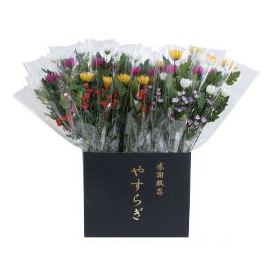代引き不可 ガーデニング 花 植物 ｄｉｙ 枯れることなくお手入れ不要 造花 やすらぎ菊 ラップ入 展示箱付 30本入 大宮パークドラッグストアー 造花 人工観葉植物 ニューホンコン造花 やすらぎ菊 ラップ入 展示箱付 30本入