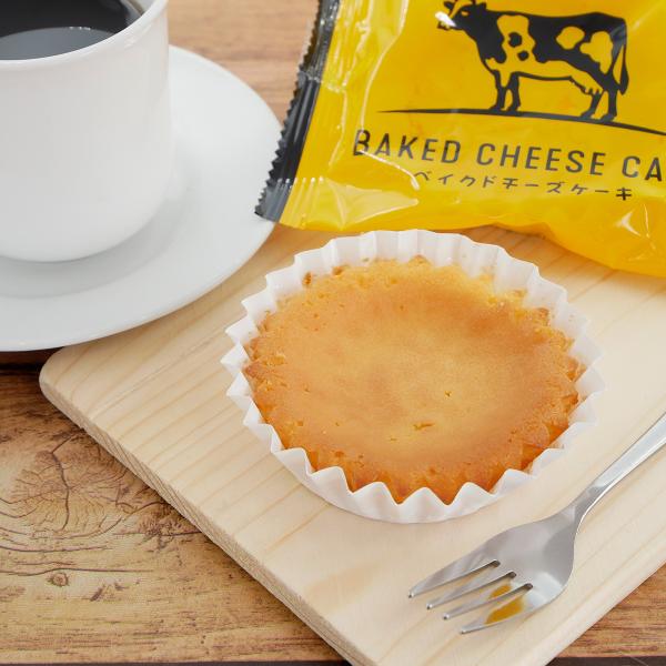 BAKED CHEESE CAKE ベイクドチーズケーキ 60g 栃木 那須牛乳 ご当地 お土産 お菓子 洋菓子 スイーツ 絶品 贈答品 ギフト 高級 チーズケーキ 可愛い お取り寄せ