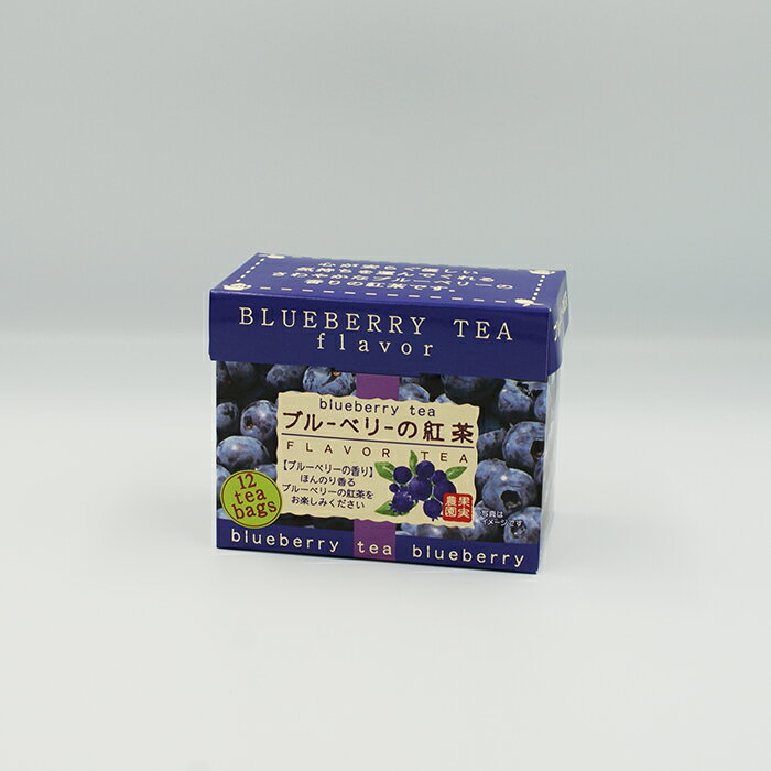 【訳あり超特価 長野のお土産 賞味期限6月30日】ブルーベリーの紅茶箱（信州長野のお土産 飲料 紅茶 ブルーベリー）のサムネイル