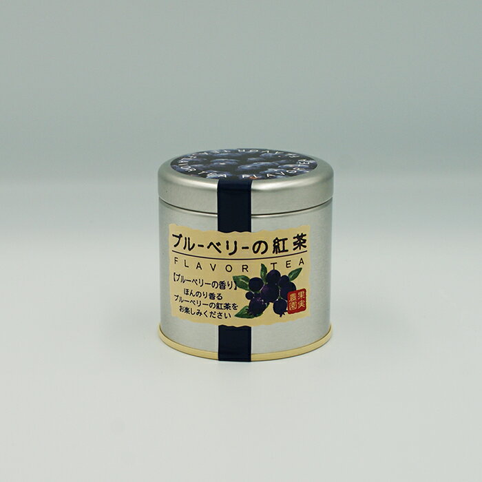 【訳あり超特価 長野のお土産 賞味期限2024年11月30日】ブルーベリーの紅茶缶入（信州長野のお土産 飲料 紅茶 ブルーベリー）