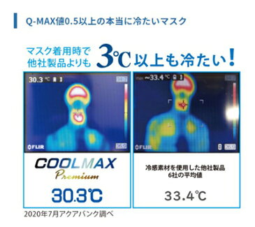 洗えるマスク 冷感 99%カット ウイルス 日本製 コロナ ウイルス 対策 予防 飛沫防止 マスク 3D 立体 苦しくない 敏感肌用 肌荒れしない 肌荒れ防止 マスク ひも 調整 ひんやり 調節 耳が痛くならない ずれない ずれ防止 耳 COOLMAX premium Aqua Bank 2枚組 ポイント10倍