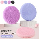 バランスクッション 空気入れ付き 抗菌 全4色 バランスディスク ポンプ付き バランスクッション 体幹クッション ヨガディスク ヨガクッション バランスボール 体幹トレーニング ダイエット ダイエット 骨盤クッション 健康器具(4)