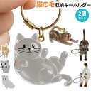 【2個セット☆1個あたり790円】 ペット 遺毛 ケース 透明 猫の毛収納ボトル 遺毛入れ ペット 毛 ネコのキーホルダー ネコ 抜け毛収納 猫の毛キーホルダー かわいい ペットひげ 猫の毛 キーホルダー 携帯 持ち歩き 毛を保管するボトル 猫の毛収納ボトル 携帯便利 猫 犬