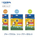 【最大10%OFFクーポンあり 5/9 20:00~5/16 01:59】リラグルーヴスリムシャープナー付12/24/36色セット|色鉛筆お絵かきお絵描き美術絵...