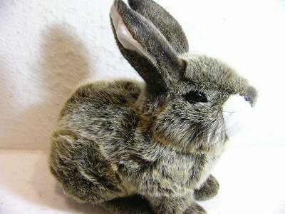 正規品 ケーセン社のぬいぐるみ ウサギ 座り ベージュ 数量限定 特売 Entramado Fundeps Org